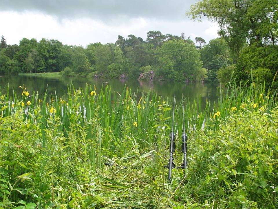 ::::::::- LIKE -:::::: - 9432495450968921927501713827785n.jpg